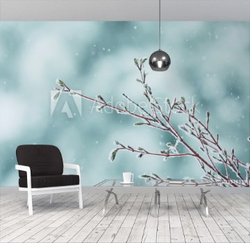 Picture of A late spring snow storm on a Coral Bark Japanese Maple tree branch